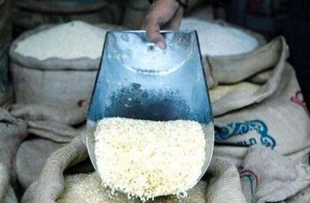 ریزش شدید قیمت برنج آغاز شد/ خریداران دست نگه داشتند