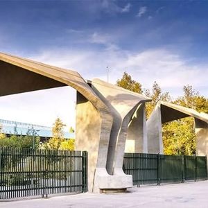 معاون دانشگاه تهران: اگر اعتراضات دانشجویی به خشونت منجر شوند، از دانشجویان حمایت نمی کنیم