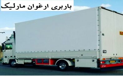 باربری ارغوان مارلیک