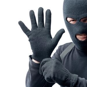 بلایی که یک زن ورزشکار سر یک دزد آورد/ عکس
