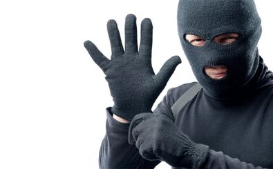 بلایی که یک زن ورزشکار سر یک دزد آورد/ عکس