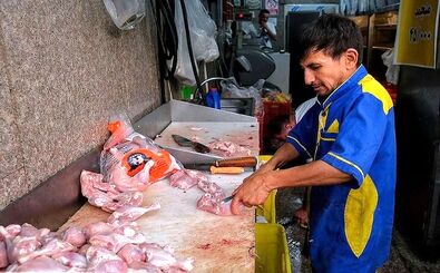 مرغ را گران‌تر از این قیمت نخرید