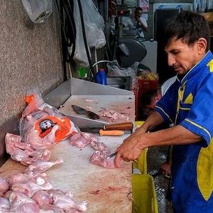 مرغ را گران‌تر از این قیمت نخرید