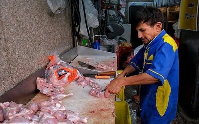 مرغ را گران‌تر از این قیمت نخرید