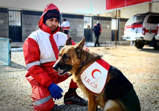 لئو؛ سگی که از ابتدای جنگ ۸ نفر را زنده از زیرآوار پیدا کرده است/ ویدئو