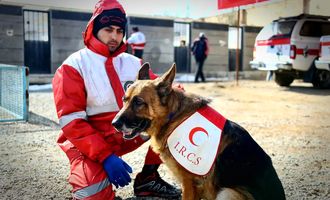 لئو؛ سگی که از ابتدای جنگ ۸ نفر را زنده از زیرآوار پیدا کرده است/ ویدئو