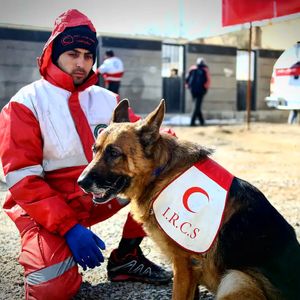 لئو؛ سگی که از ابتدای جنگ ۸ نفر را زنده از زیرآوار پیدا کرده است/ ویدئو