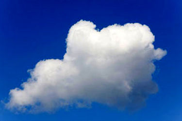 رنگ سال ۲۰۲۶ اعلام شد/ عکس