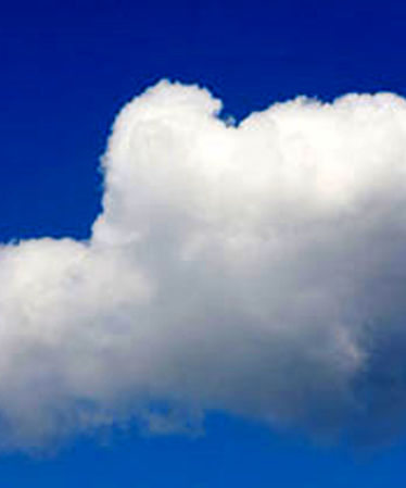 رنگ سال ۲۰۲۶ اعلام شد/ عکس