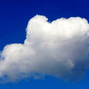 رنگ سال ۲۰۲۶ اعلام شد/ عکس