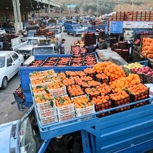 این میوه‌ها نجومی قیمت خوردند/ جدول