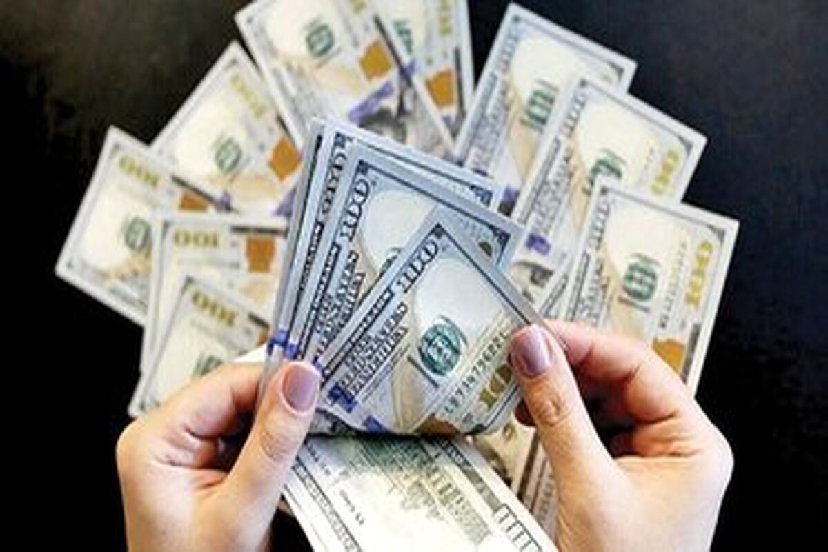 فرزانی: دولت اجازه ارزان‌تر شدن قیمت دلار را نمی‌دهد