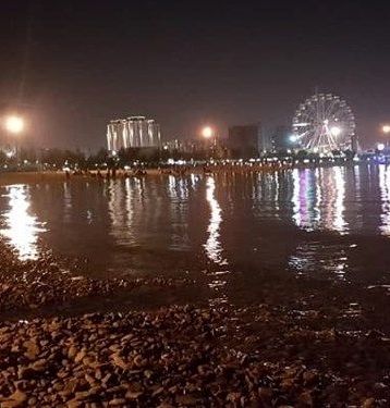 ماجرای حشرات ریز دریاچه شهدای خلیج فارس چیست؟