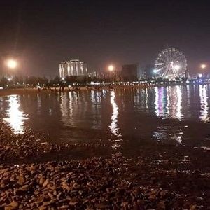 ماجرای حشرات ریز دریاچه شهدای خلیج فارس چیست؟