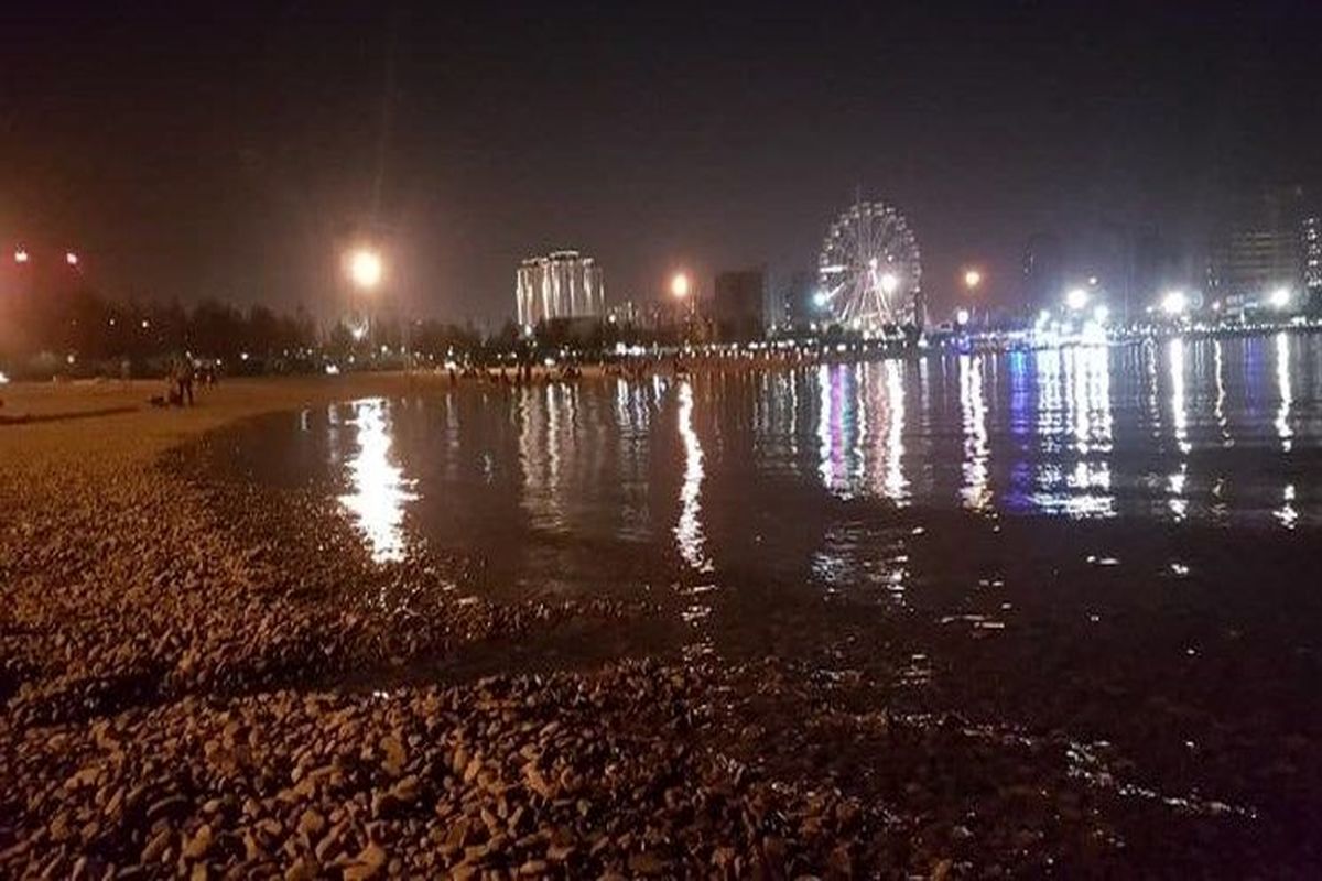 ماجرای حشرات ریز دریاچه شهدای خلیج فارس چیست؟