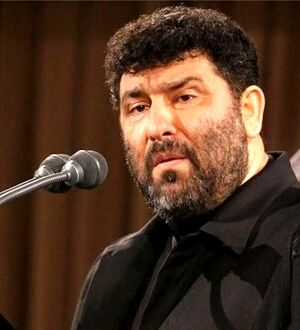 حدادیان: آقای ظریف، سه روز وقت داری بگویی غلط کردم/ ویدئو