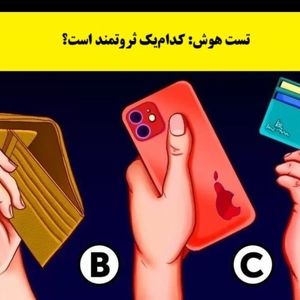 فرد ثروتمند کدام است؟