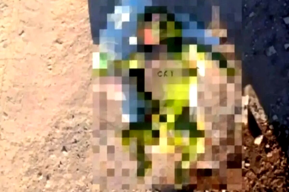 کشف جسد یک نوزاد در کانال آب قیامدشت   