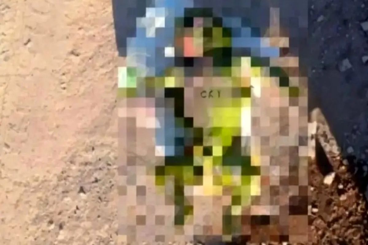 کشف جسد یک نوزاد در کانال آب قیامدشت   