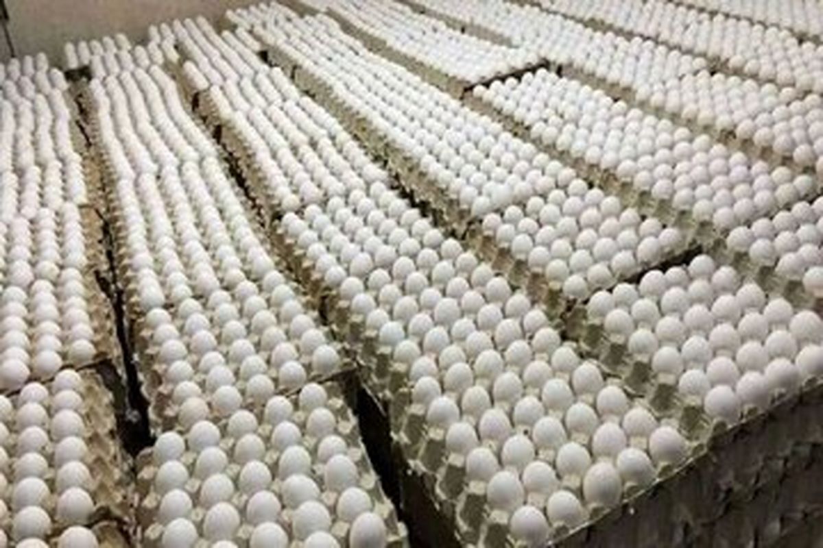 اعتراض روزنامه اصولگرا به ارزانی تخم‌مرغ!