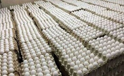 اعتراض روزنامه اصولگرا به ارزانی تخم‌مرغ!