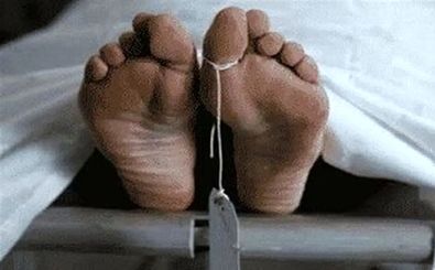 قوه قضاییه: خبرسازی عوامل رسانه‌ای موساد از تعداد قربانیان حوادث تروریستی اخیر ایران کذب است