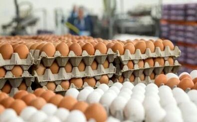 قیمت تخم‌مرغ دانه‌ای ۱۲ هزار تومان شد!