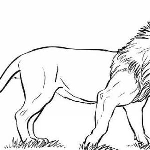 کلمه پنهان در تصویر شیر را پیدا کنید