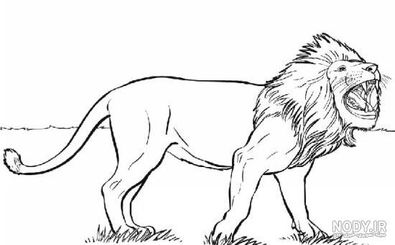 کلمه پنهان در تصویر شیر را پیدا کنید