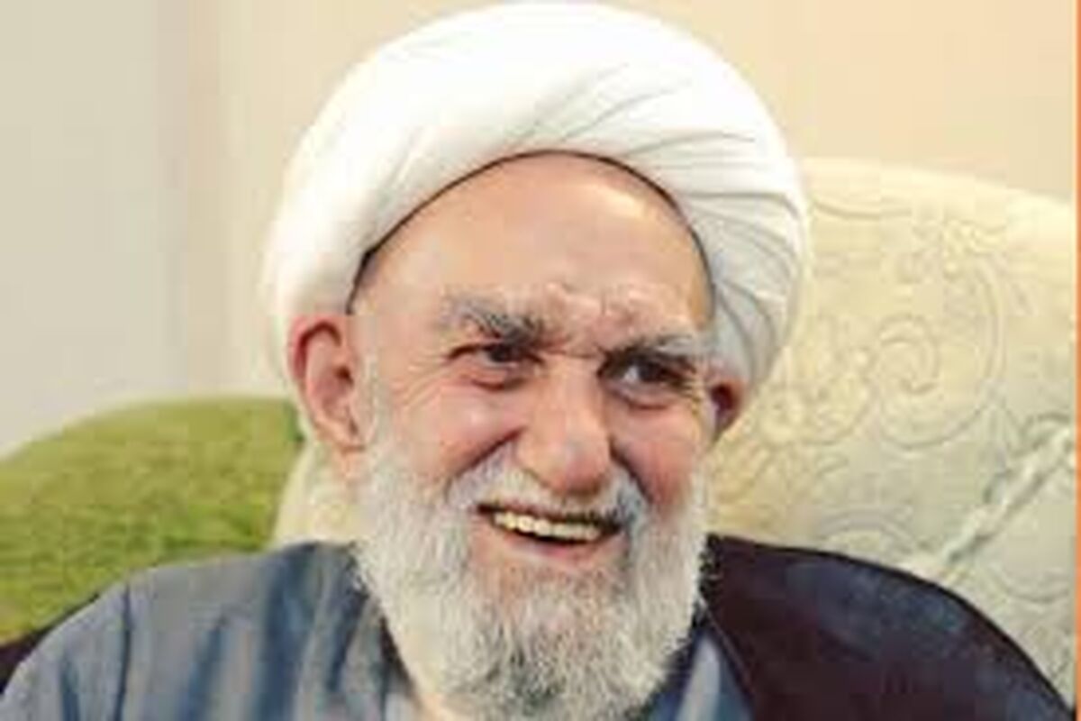 آیت الله ناصری: بعد از رهبری امام زمان ظهور می‌کند/ ویدئو
