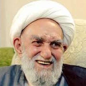 آیت الله ناصری: بعد از رهبری امام زمان ظهور می‌کند/ ویدئو