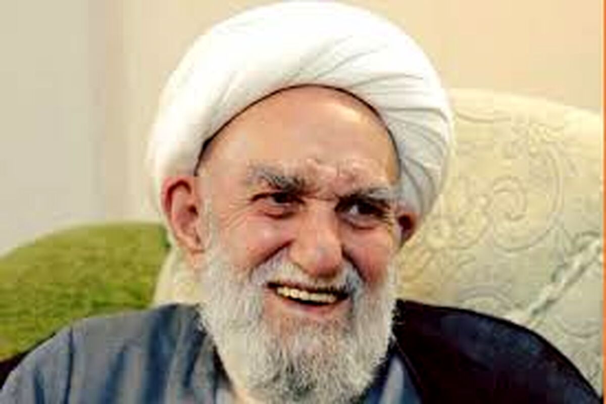 آیت الله ناصری: بعد از رهبری امام زمان ظهور می‌کند/ ویدئو