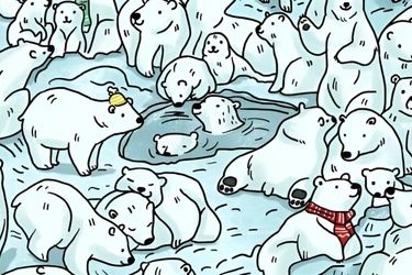  فک را در میان خرس‌های قطبی در عرض 7 ثانیه پیدا کنید!