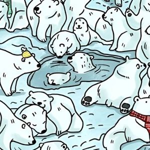  فک را در میان خرس‌های قطبی در عرض 7 ثانیه پیدا کنید!