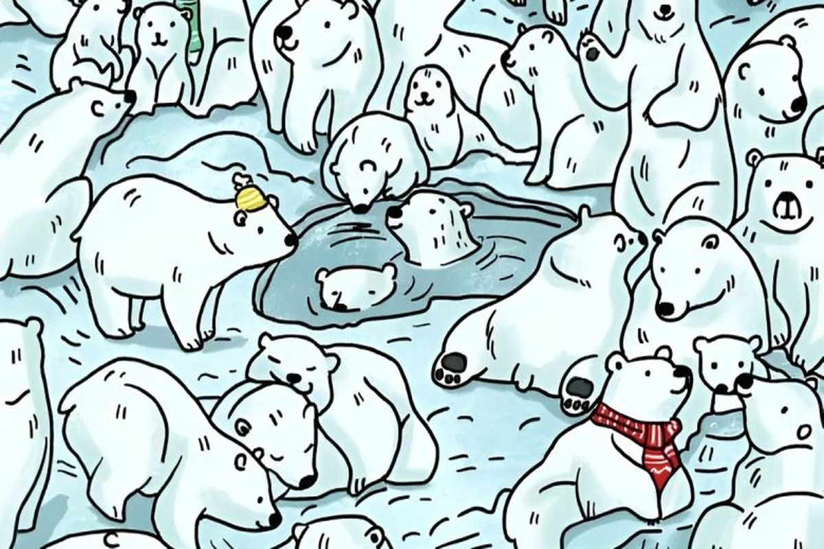  فک را در میان خرس‌های قطبی در عرض 7 ثانیه پیدا کنید!