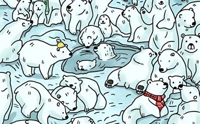  فک را در میان خرس‌های قطبی در عرض 7 ثانیه پیدا کنید!