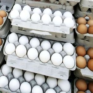 تخم‌مرغ ارزان شد/ قیمت جدید تخم‌مرغ اعلام شد