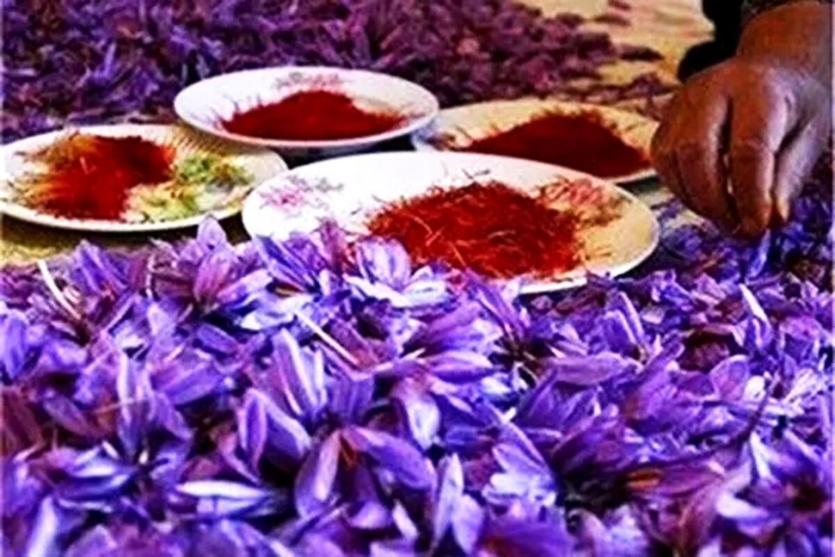 قیمت جدید زعفران اعلام شد