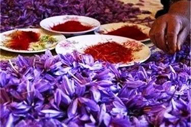 قیمت جدید زعفران اعلام شد