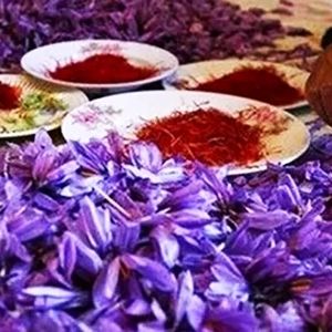 قیمت جدید زعفران اعلام شد