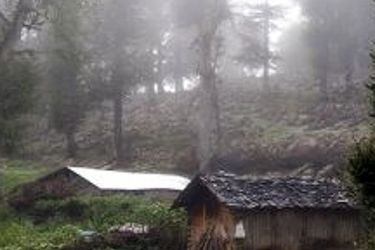 گیلان ناگهان از نیمه‌شب به‌هم ریخت/ ویدئو