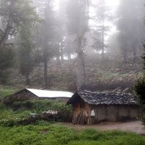 گیلان ناگهان از نیمه‌شب به‌هم ریخت/ ویدئو