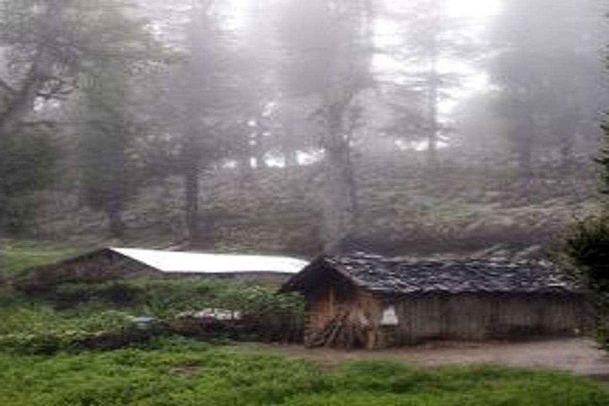 گیلان ناگهان از نیمه‌شب به‌هم ریخت/ ویدئو