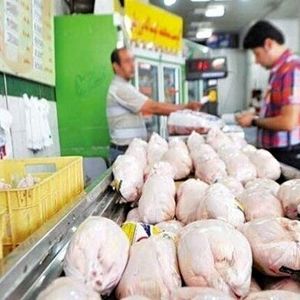  مردم مرغ نخریدند، قیمت مرغ به این عدد رسید