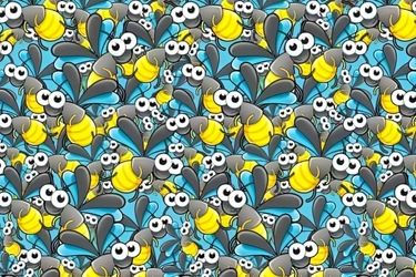 اگر چشمان تیزبین دارید زنبور را در تصویر پیدا کنید