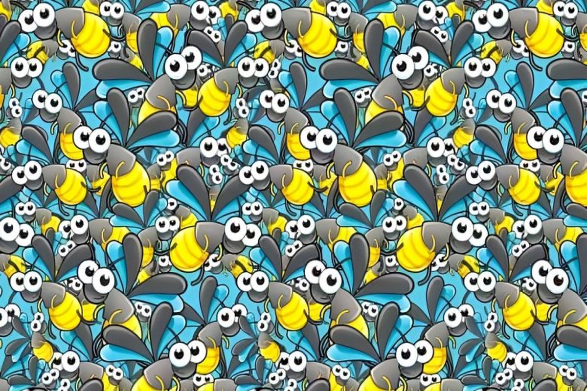 اگر چشمان تیزبین دارید زنبور را در تصویر پیدا کنید