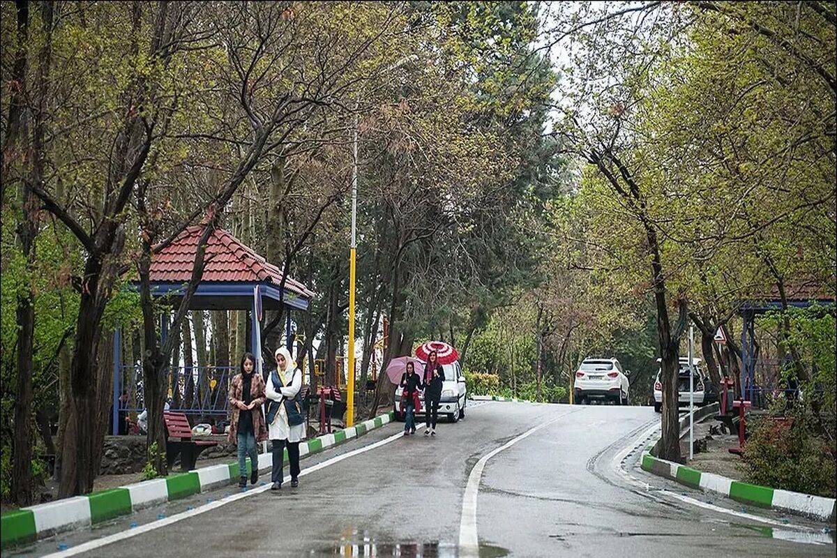 سرنوشت شیطان لویزان قربانیان را بهت‌زده کرد