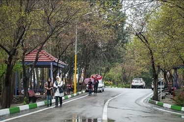 سرنوشت شیطان لویزان قربانیان را بهت‌زده کرد