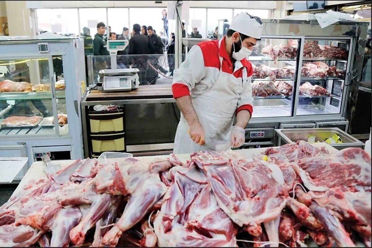 گوشت ارزان وارد بازار شد
