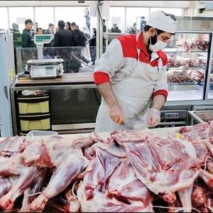 گوشت ارزان وارد بازار شد
